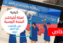 russian-scholarship-application-form
