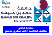 منحة جامعة حمد بن خليفة في قطر 2024